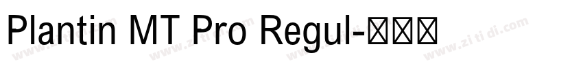 Plantin MT Pro Regul字体转换
